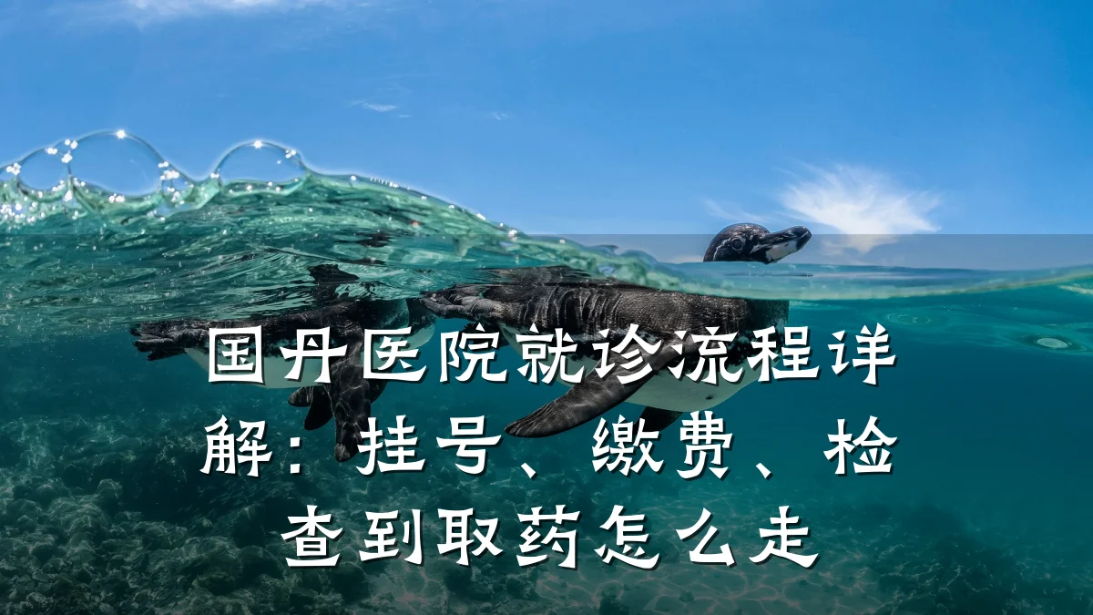 国丹医院就诊流程详解:挂号、缴费、检查到取药怎么走
