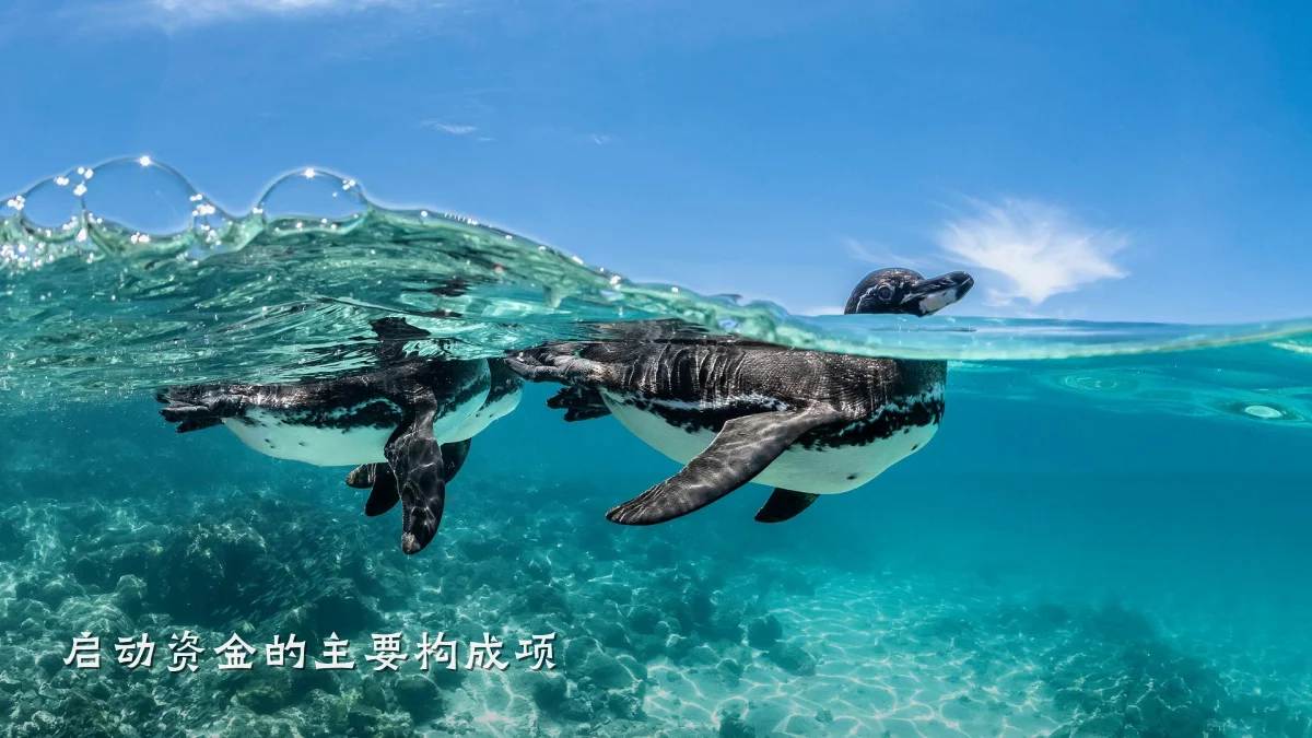启动资金的主要构成项