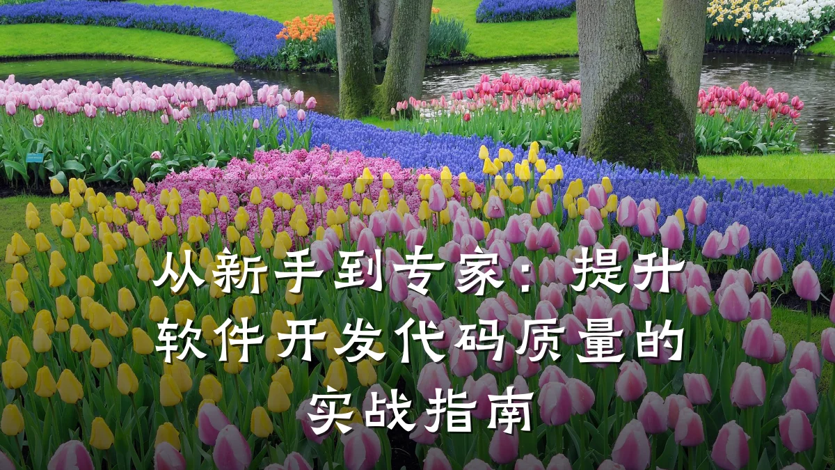 从新手到专家:提升软件开发代码质量的实战指南