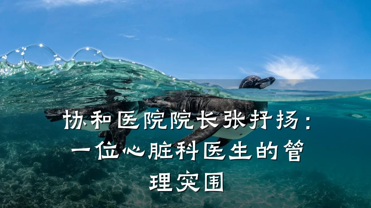 协和医院院长张抒扬:一位心脏科医生的管理突围