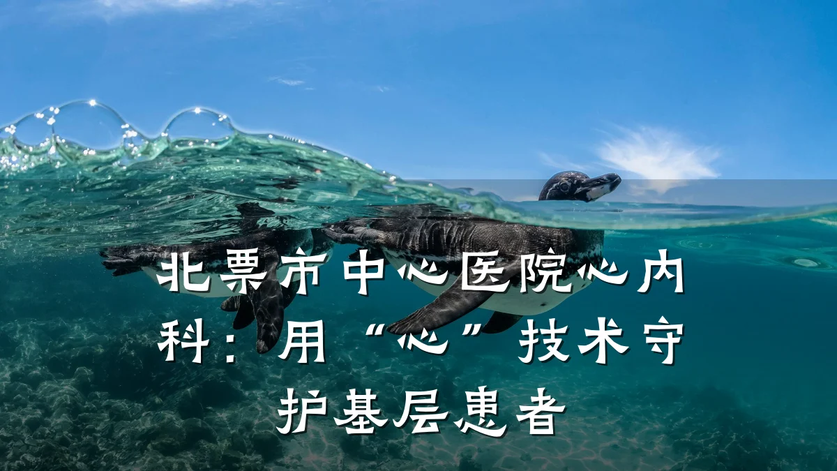 北票市中心医院心内科:用“心”技术守护基层患者