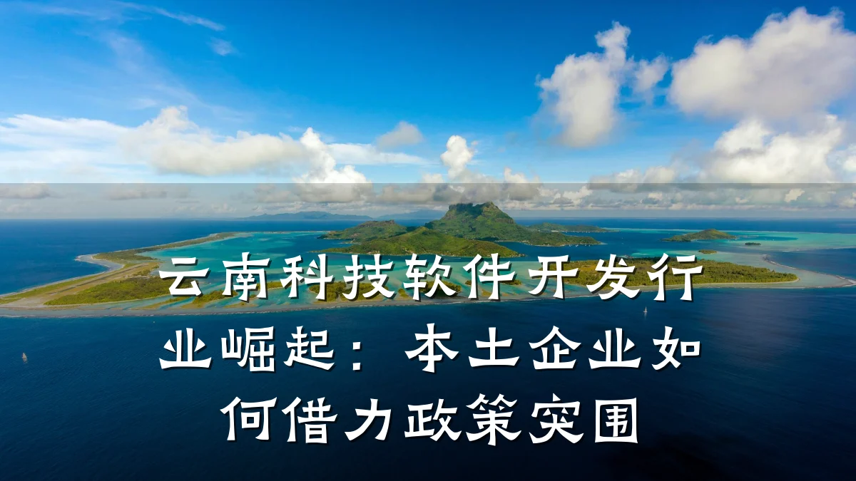 云南科技软件开发行业崛起:本土企业如何借力政策突围