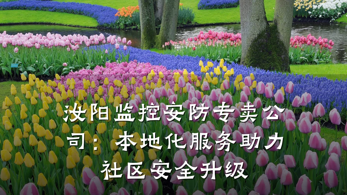 汝阳监控安防专卖公司：本地化服务助力社区安全升级
