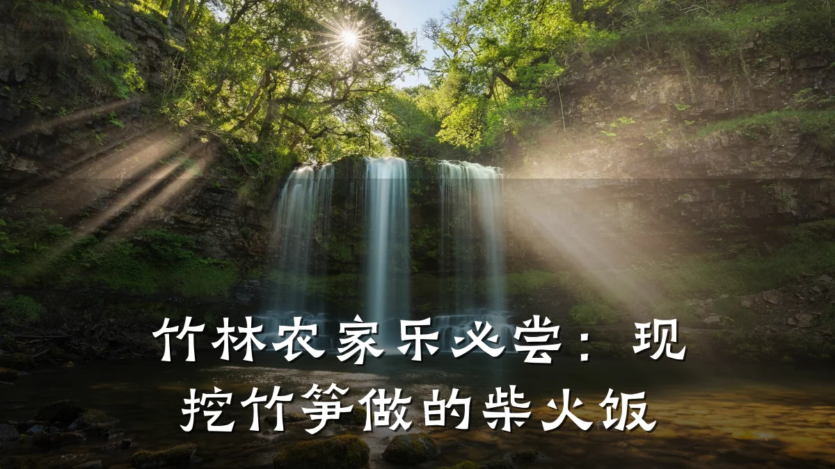 竹林农家乐必尝:现挖竹笋做的柴火饭