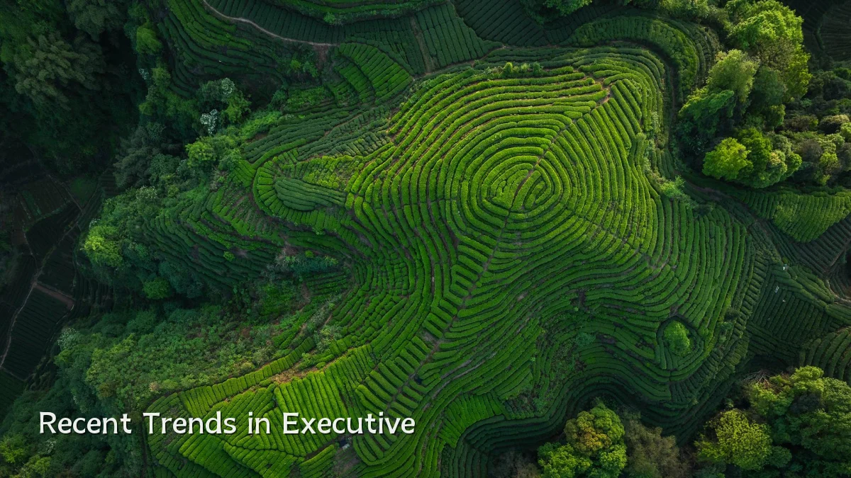 Recent Trends in Executive