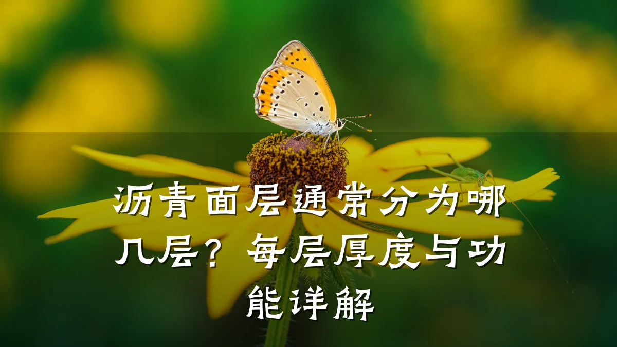 沥青面层通常分为哪几层?每层厚度与功能详解