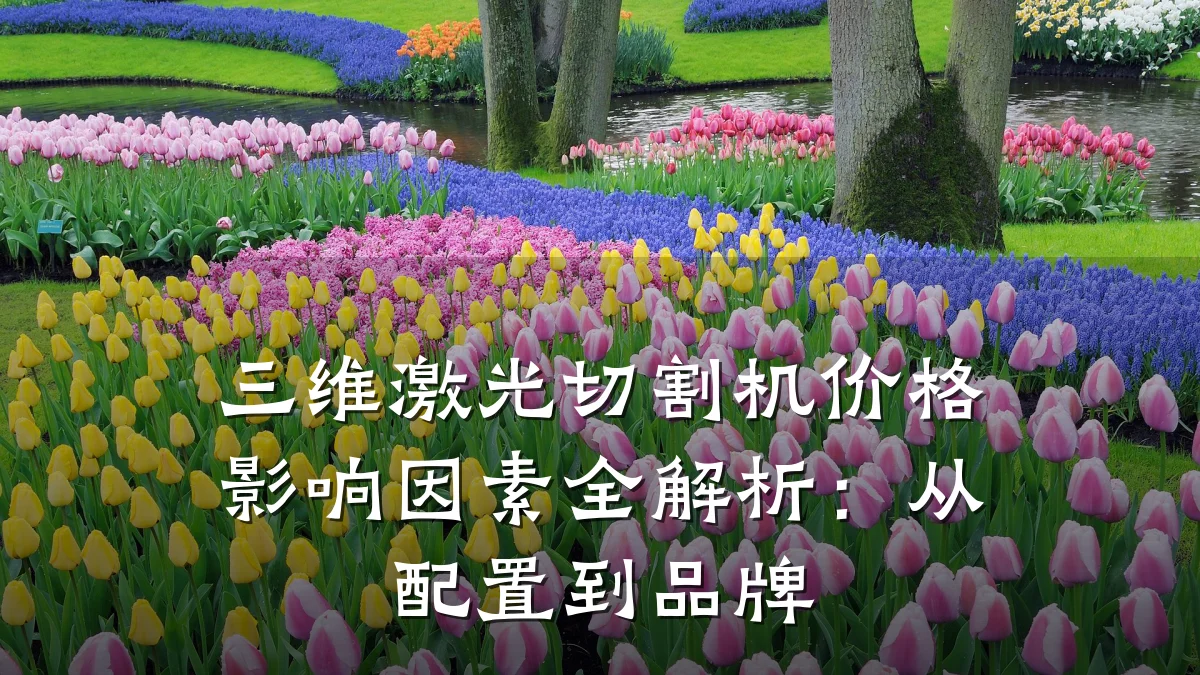三维激光切割机价格影响因素全解析:从配置到品牌