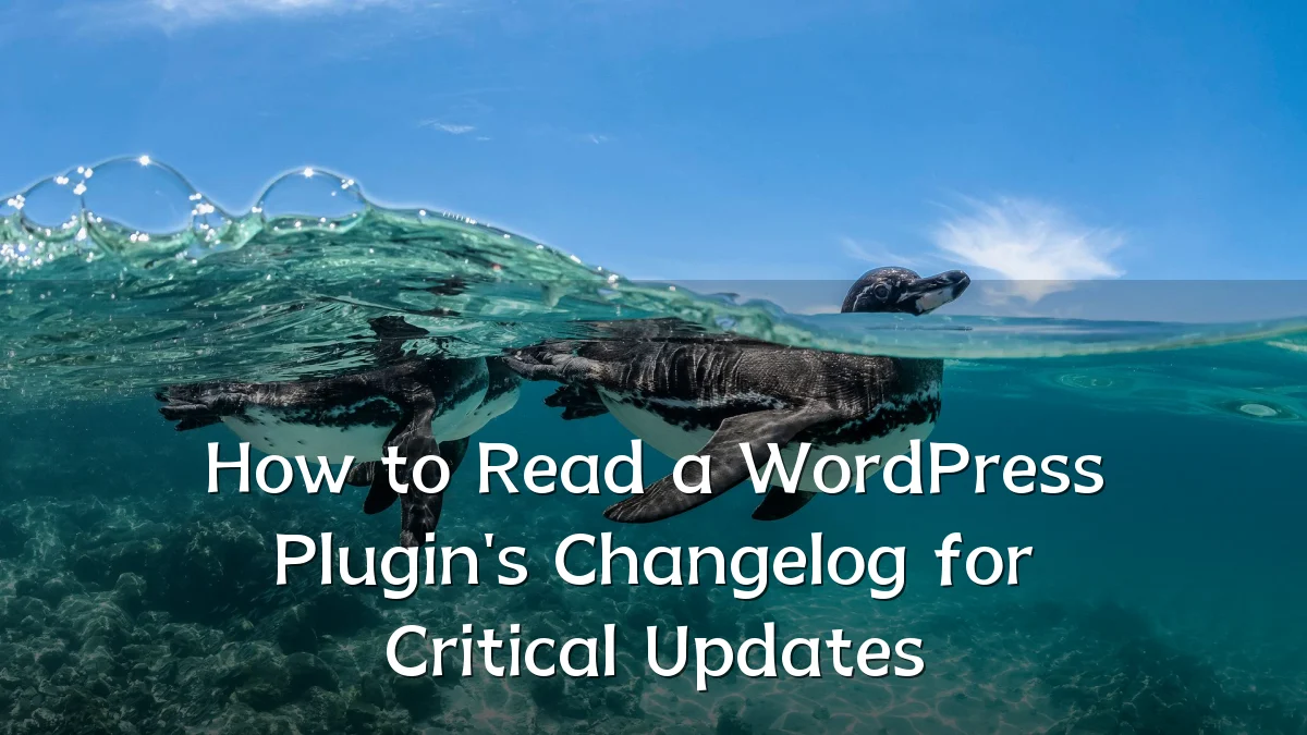 How to Read a WordPress Plugin's Changelog for Critical Updates