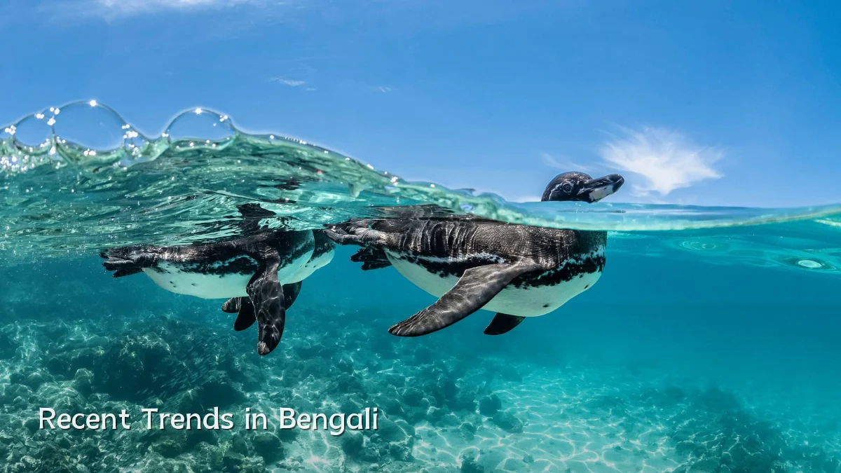 Recent Trends in Bengali