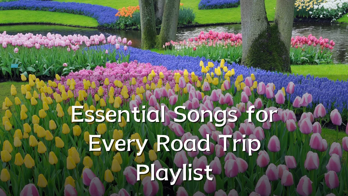 Essential Songs for Every Road Trip Playlist