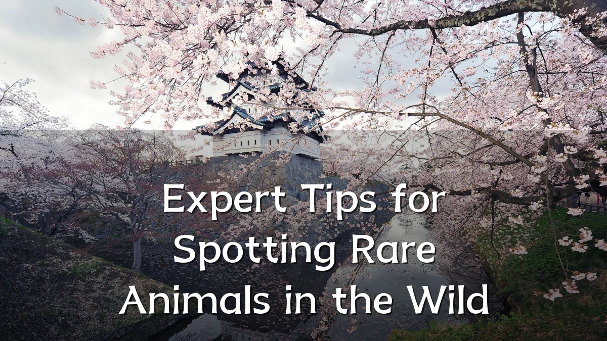 Expert Tips for Spotting Rare Animals in the Wild