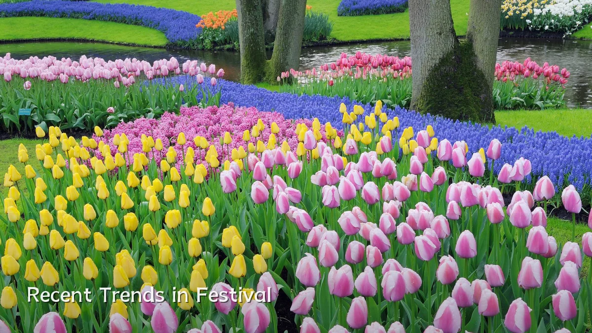 Recent Trends in Festival