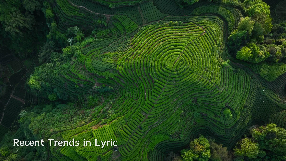 Recent Trends in Lyric