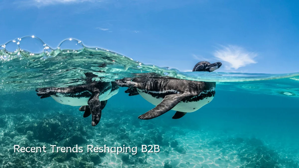 Recent Trends Reshaping B2B