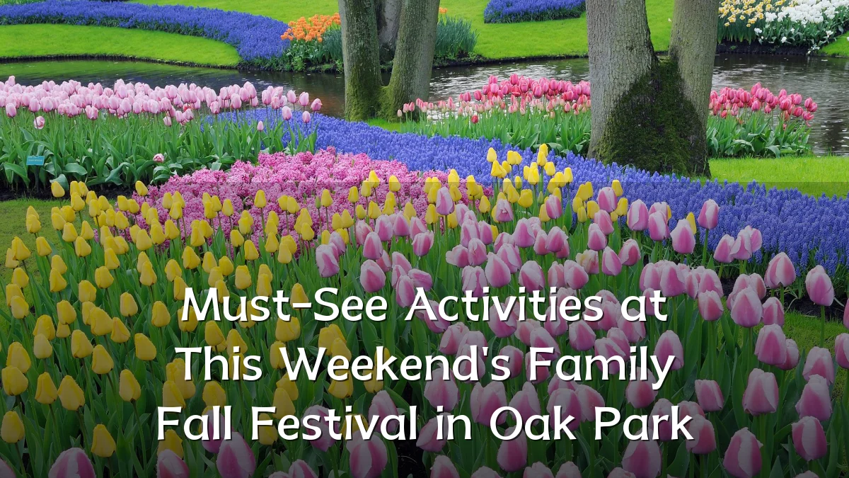 Must-See Activities at This Weekend's Family Fall Festival in Oak Park