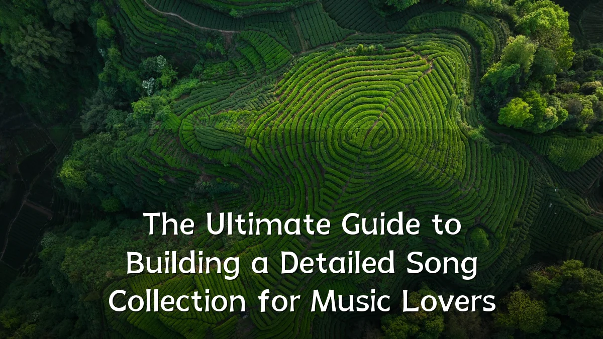The Ultimate Guide to Building a Detailed Song Collection for Music Lovers