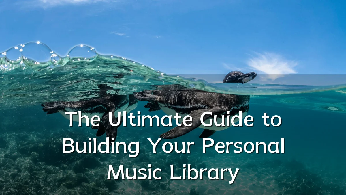 The Ultimate Guide to Building Your Personal Music Library
