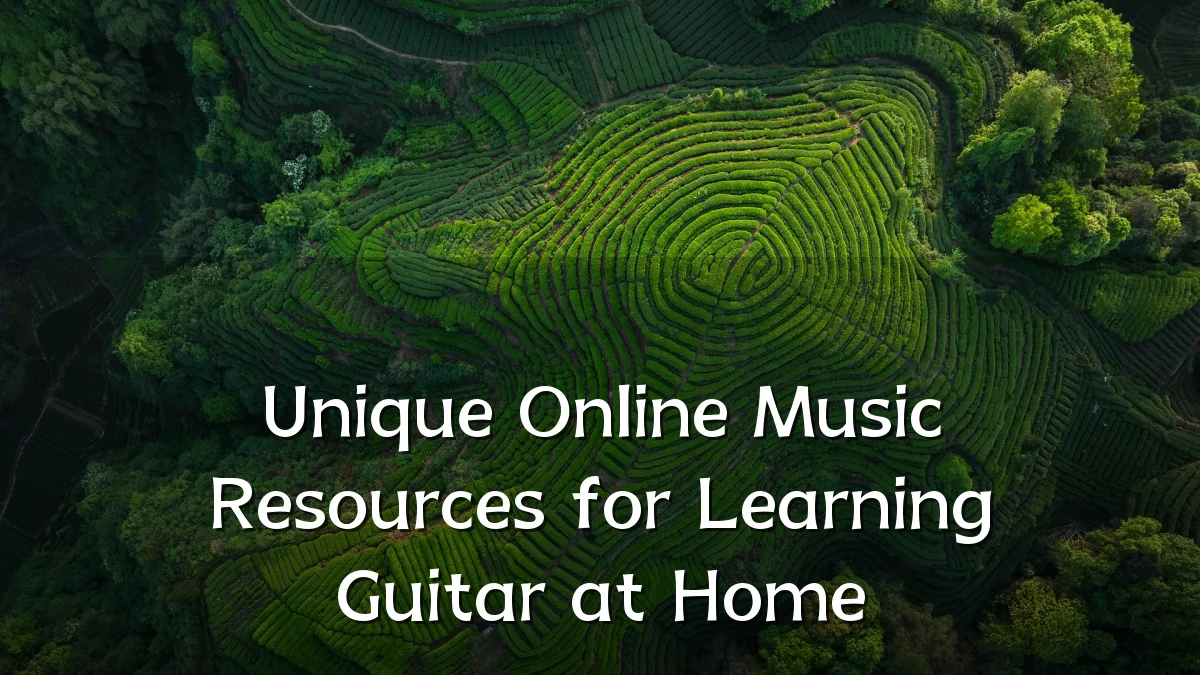 Unique Online Music Resources for Learning Guitar at Home