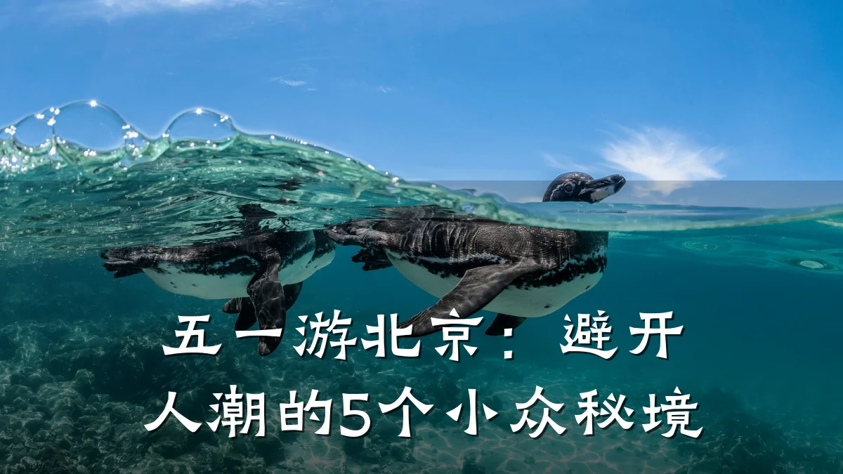 五一游北京：避开人潮的5个小众秘境