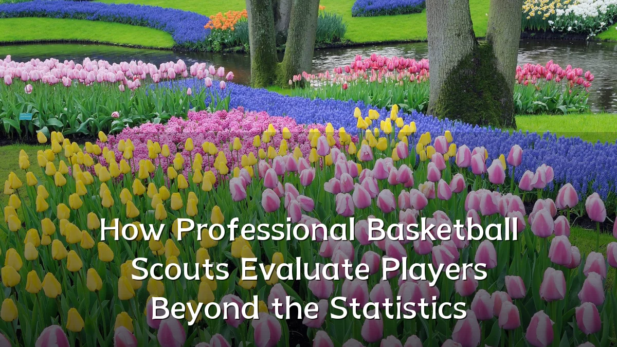 How Professional Basketball Scouts Evaluate Players Beyond the Statistics