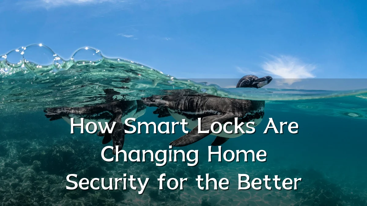 How Smart Locks Are Changing Home Security for the Better
