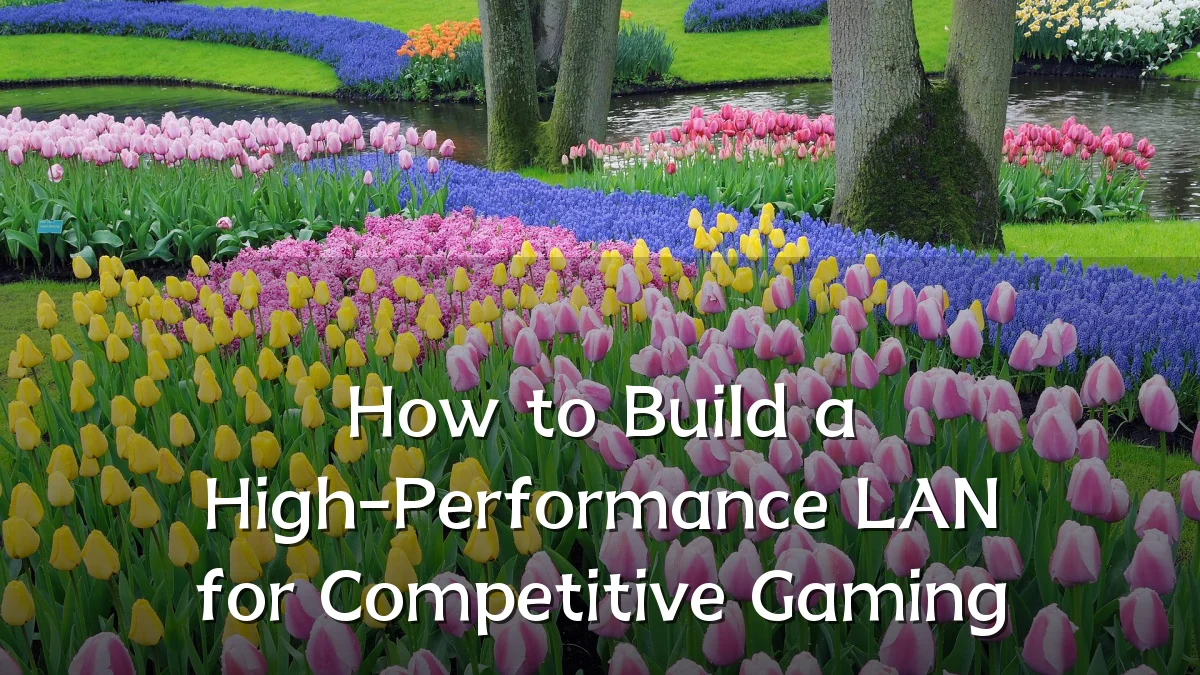 How to Build a High-Performance LAN for Competitive Gaming