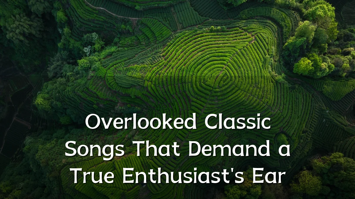 Overlooked Classic Songs That Demand a True Enthusiast's Ear