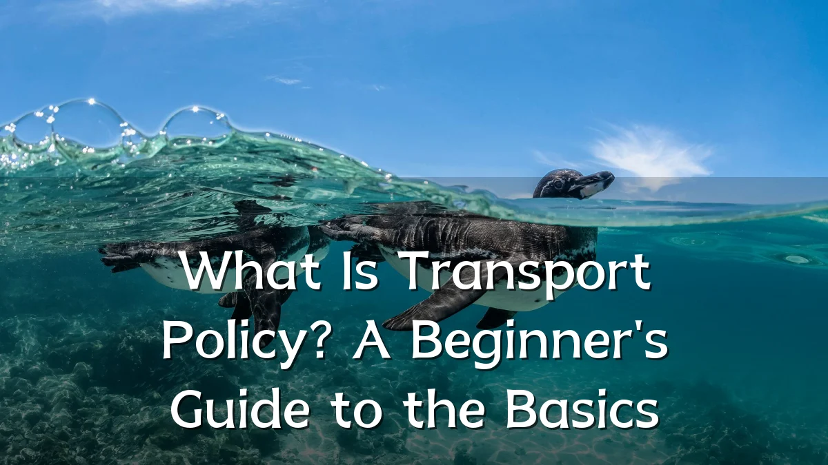What Is Transport Policy? A Beginner's Guide to the Basics