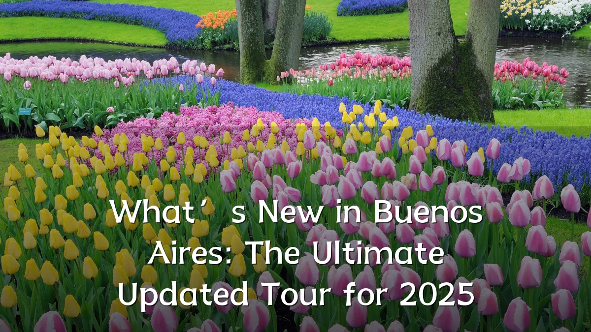 What’s New in Buenos Aires: The Ultimate Updated Tour for 2025