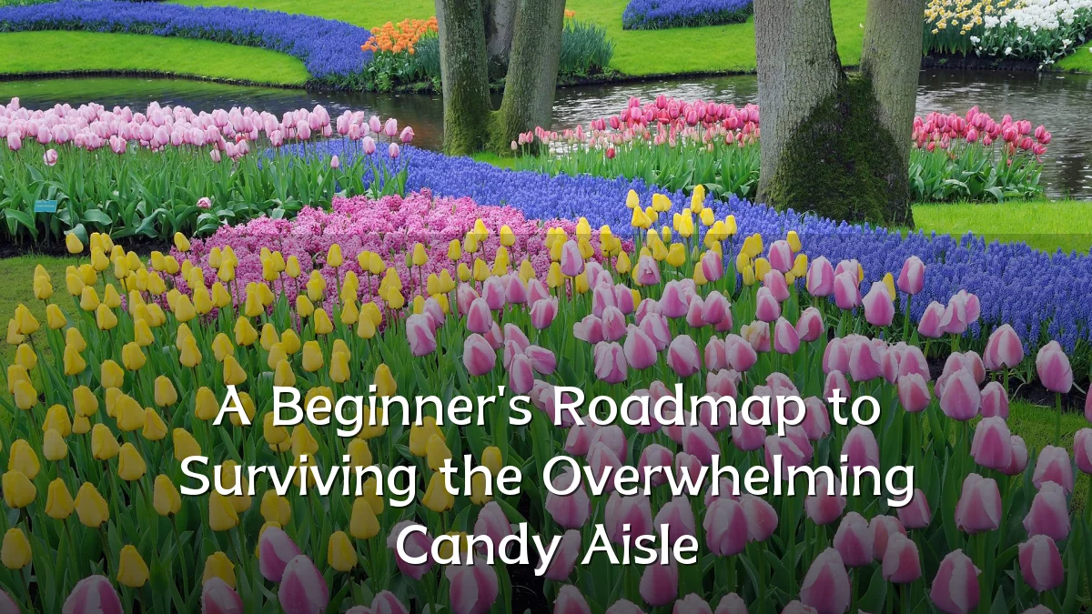 A Beginner's Roadmap to Surviving the Overwhelming Candy Aisle