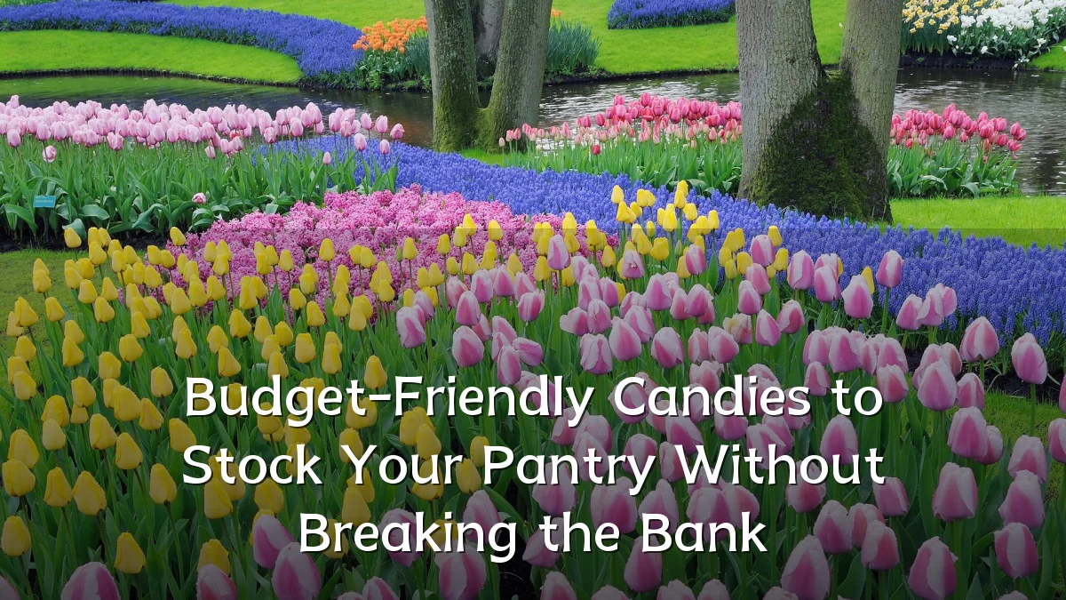 Budget-Friendly Candies to Stock Your Pantry Without Breaking the Bank