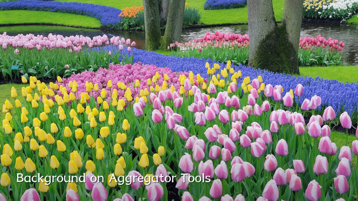 Background on Aggregator Tools