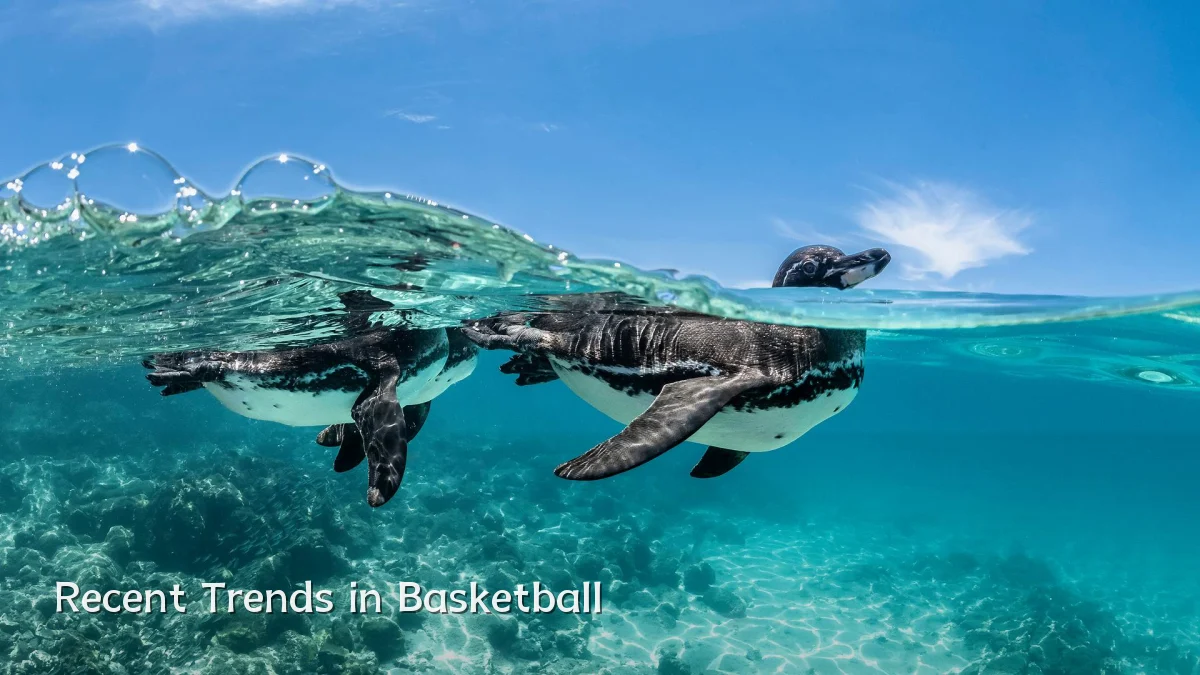 Recent Trends in Basketball