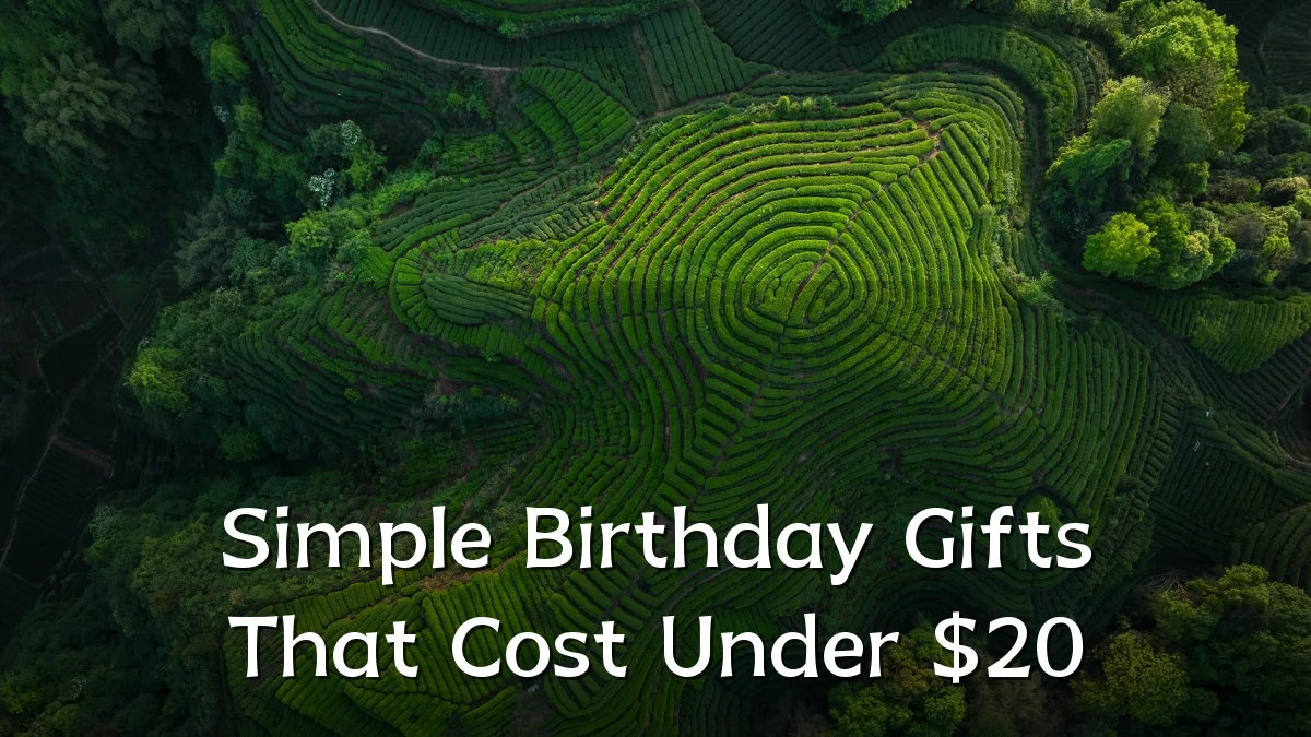 Simple Birthday Gifts That Cost Under $20