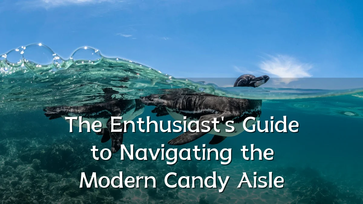 The Enthusiast's Guide to Navigating the Modern Candy Aisle