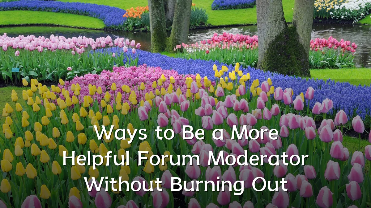Ways to Be a More Helpful Forum Moderator Without Burning Out