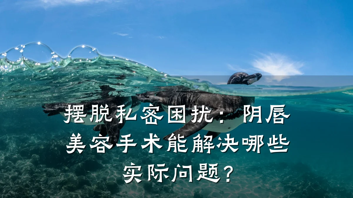 摆脱私密困扰:阴唇美容手术能解决哪些实际问题?