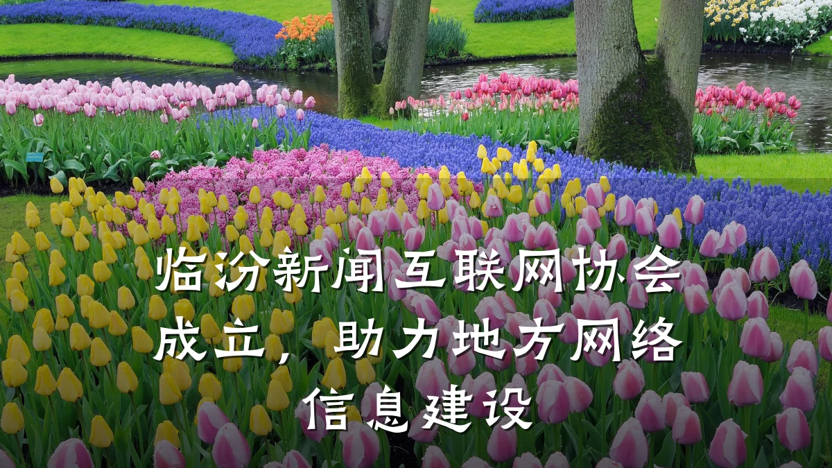 临汾新闻互联网协会成立,助力地方网络信息建设