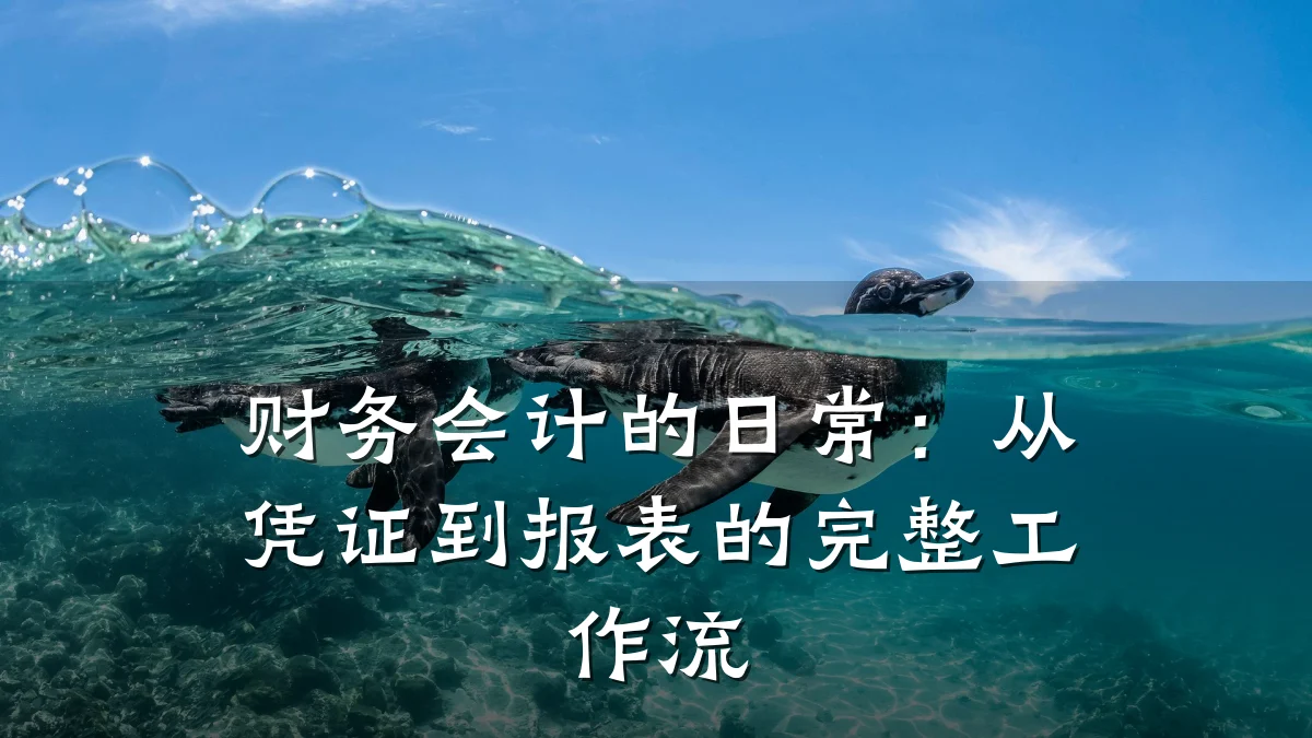 财务会计的日常:从凭证到报表的完整工作流