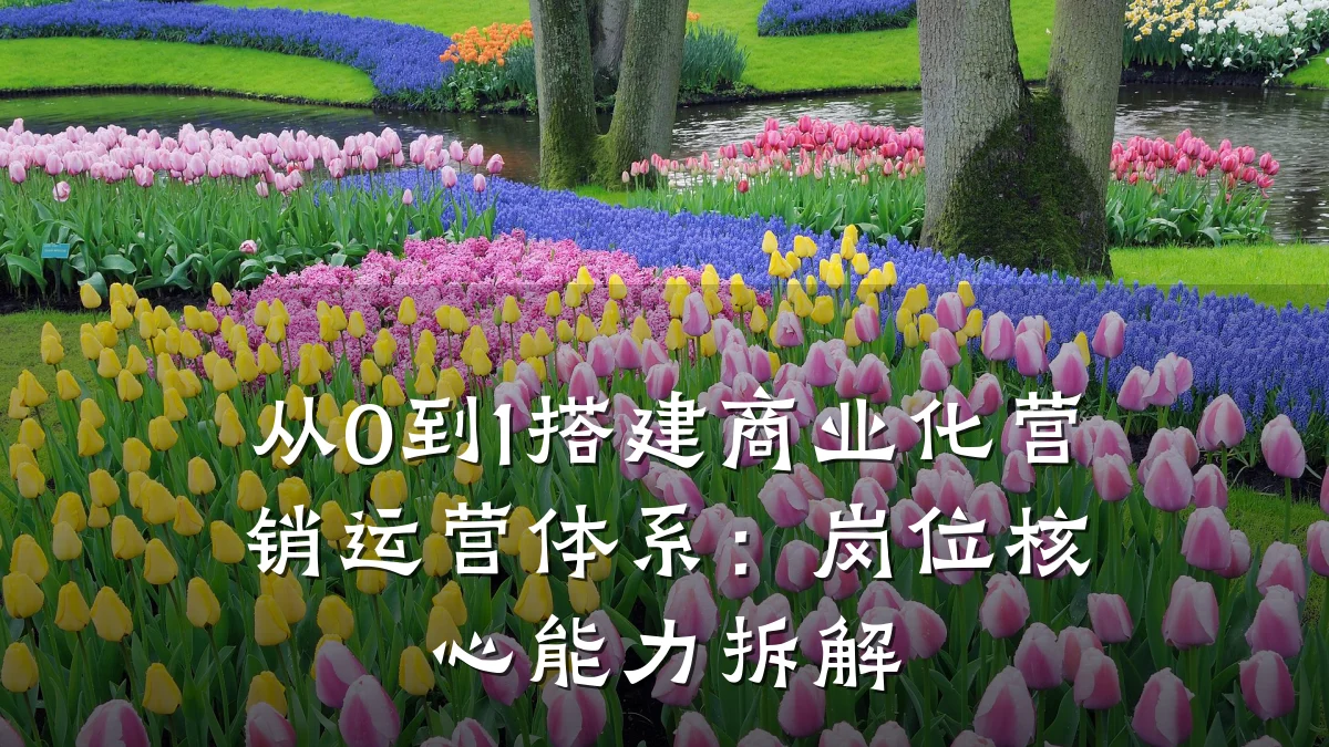 从0到1搭建商业化营销运营体系:岗位核心能力拆解