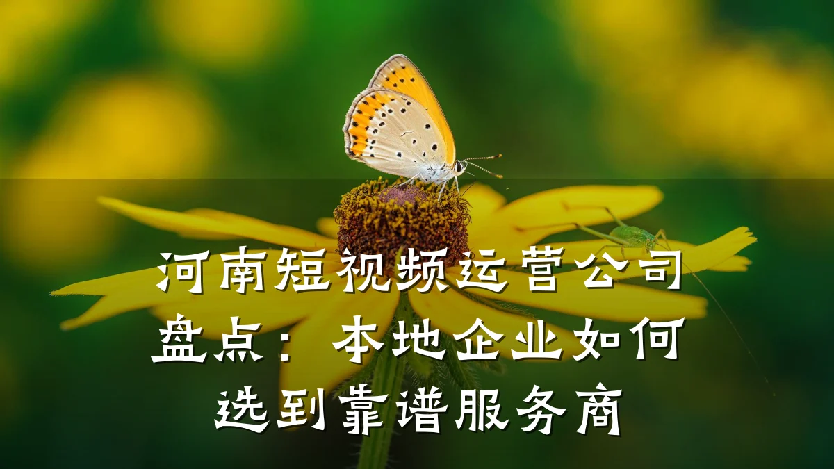 河南短视频运营公司盘点：本地企业如何选到靠谱服务商