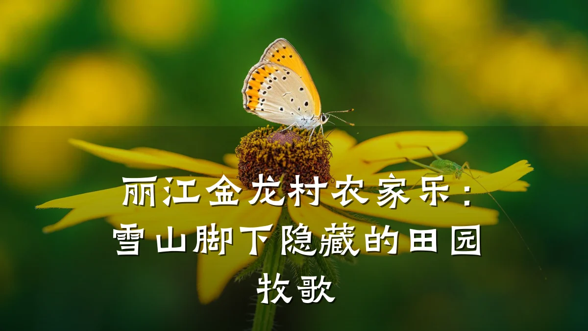 丽江金龙村农家乐:雪山脚下隐藏的田园牧歌
