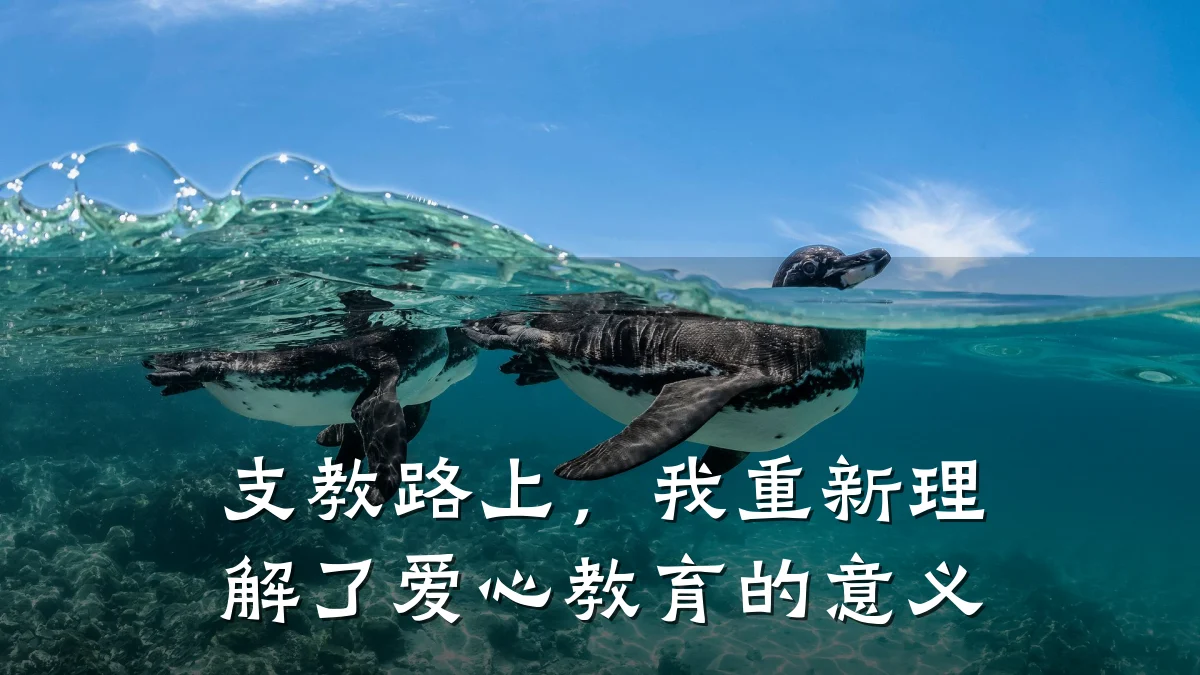 支教路上,我重新理解了爱心教育的意义