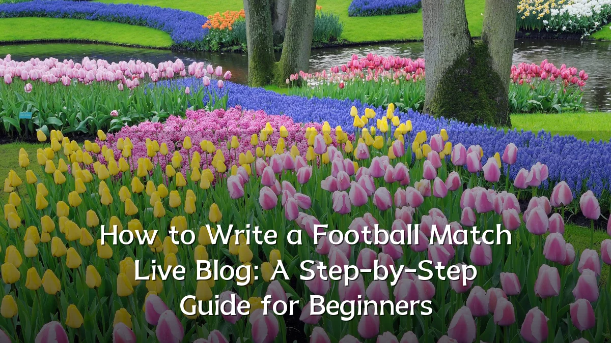 How to Write a Football Match Live Blog: A Step-by-Step Guide for Beginners