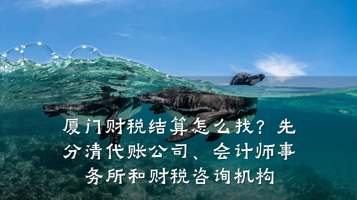 厦门财税结算怎么找?先分清代账公司、会计师事务所和财税咨询机构